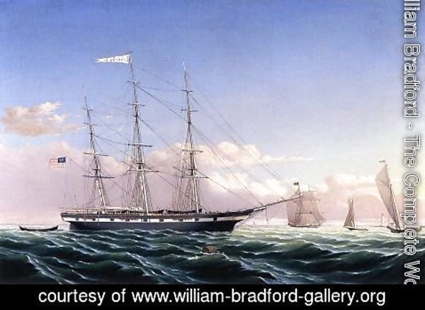 William Bradford - Whaleship 'Jireh Swift' of New Bedford