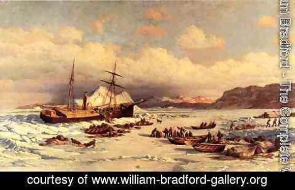 William Bradford - Voyage