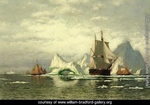 Arctic Whaler Homeward Bound Among The Icebergs